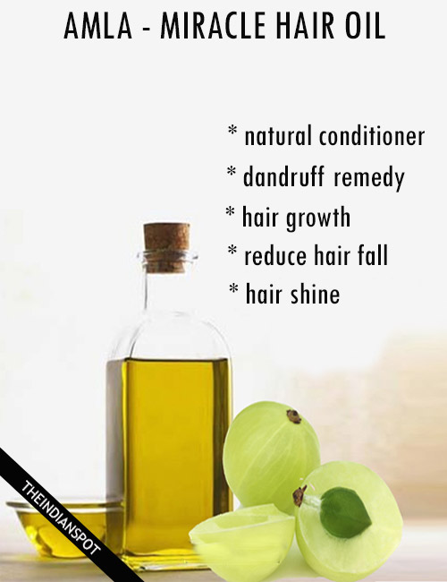 The Miracle Oil For Hair - Amla Oil benefits and uses