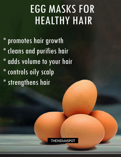 5 Best Egg hair treatments for hair problems - THE INDIAN SPOT