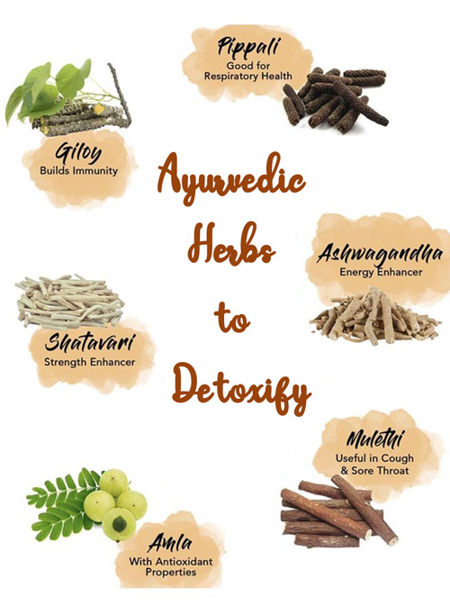 7 Best Ayurvedic Herbs to Detoxify