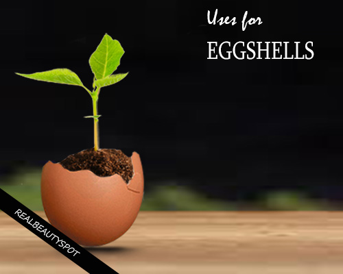 UNUSUAL USES FOR EGGSHELLS FOR BEAUTY, HOME AND GARDEN