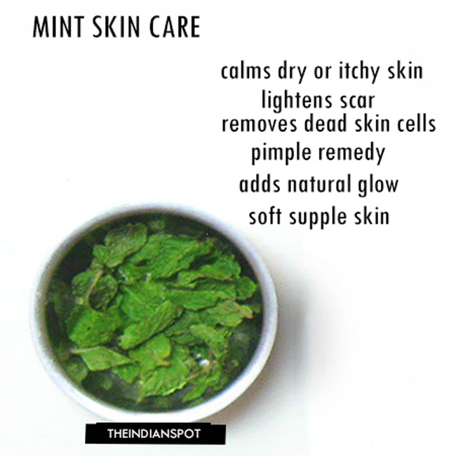 Mint Face Mask for every skin type and Its Benefits