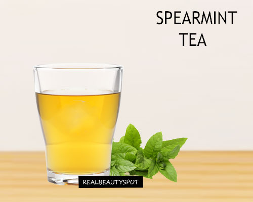 BENEFITS & USES SPEARMINT TEA