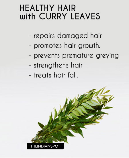 BENEFITS, USES and TREATMENTS USING CURRY LEAVES FOR HEALTHY HAIR