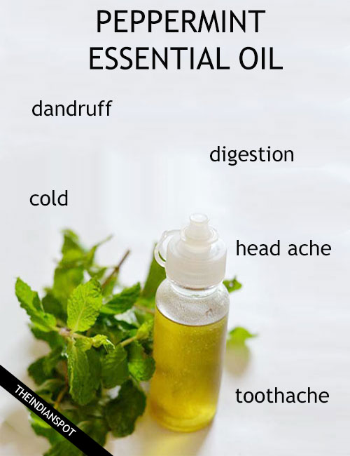 PEPPERMINT ESSENTIAL OIL - Benefits, Uses & Remedies