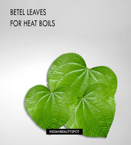 Deal with Heat boil this summer with Betel Leaves