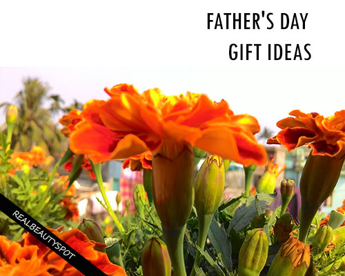 SIMPLE AND COOL Father's Day Gift Ideas