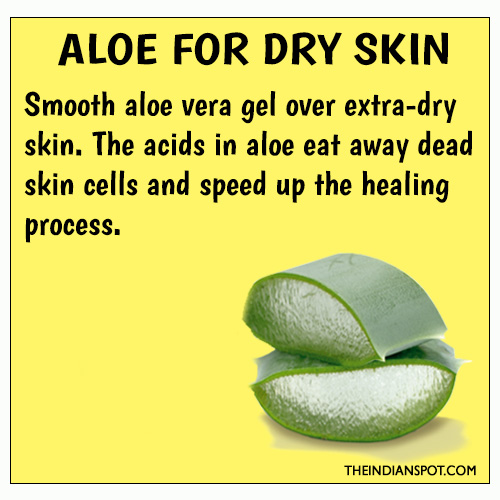 Aloe vera for dry skin