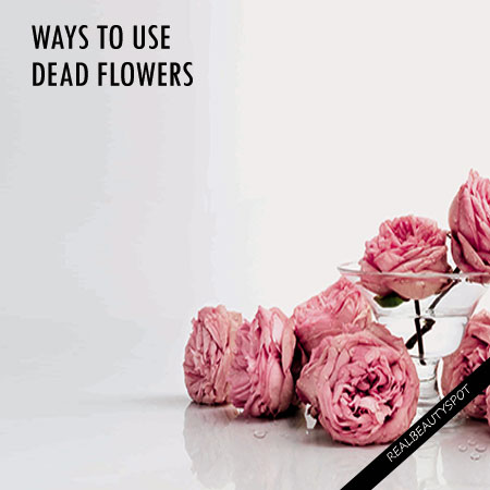 DIFFERENT WAYS TO USE DEAD FLOWERS AT HOME 