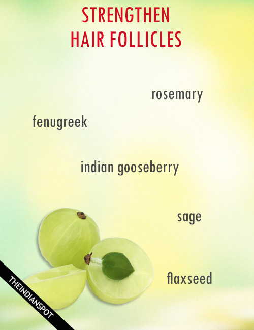 STRENGTHEN HAIR FOLLICLES NATURALLY - THE INDIAN SPOT