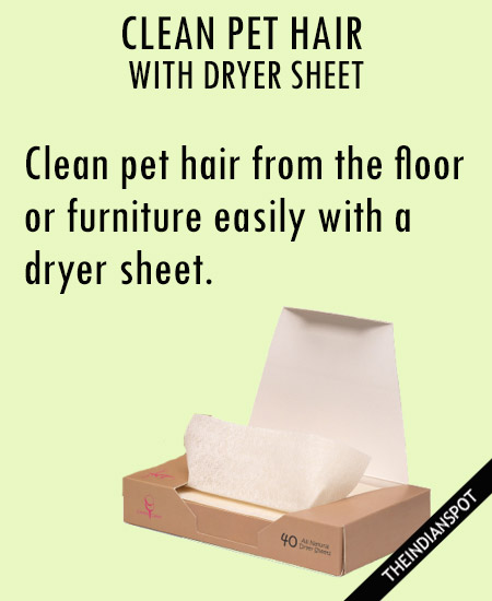 CLEAN PET HAIR WITH DRYER SHEET