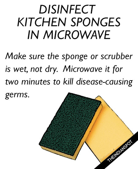 Clean and disinfect Sponges