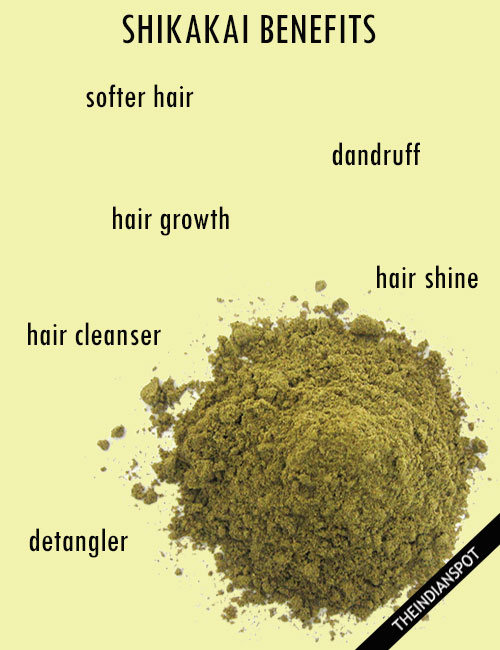 SHIKAKAI BENEFITS AND USES FOR HAIR - THE INDIAN SPOT