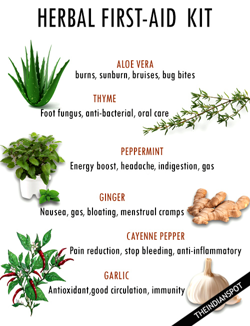 GROW YOUR OWN HERBAL FIRST-AID KIT
