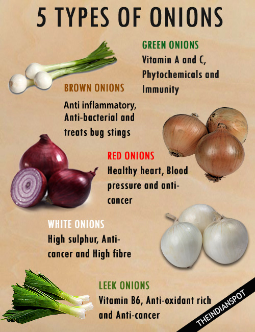 TYPES OF ONIONS AND BENEFITS