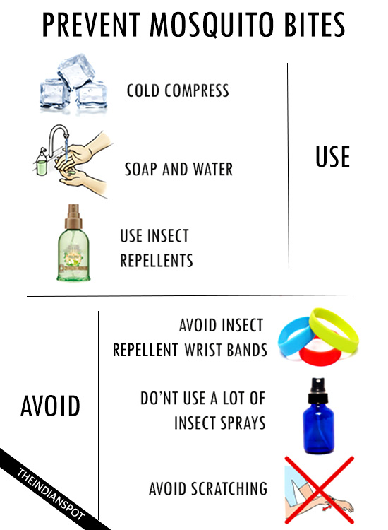 SURPRISING DOS AND DON’TS OF MOSQUITO BITES